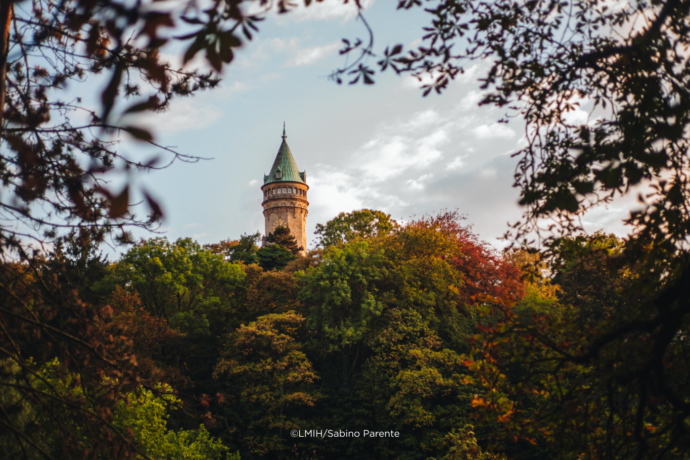 Top of a bank above the trees