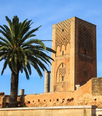 Explore business opportunities in Morocco