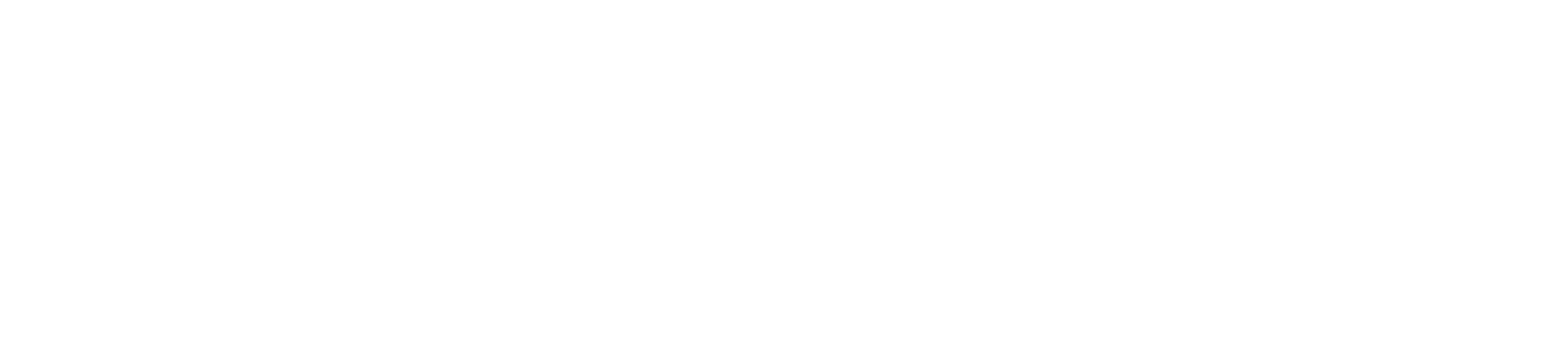 European union flag