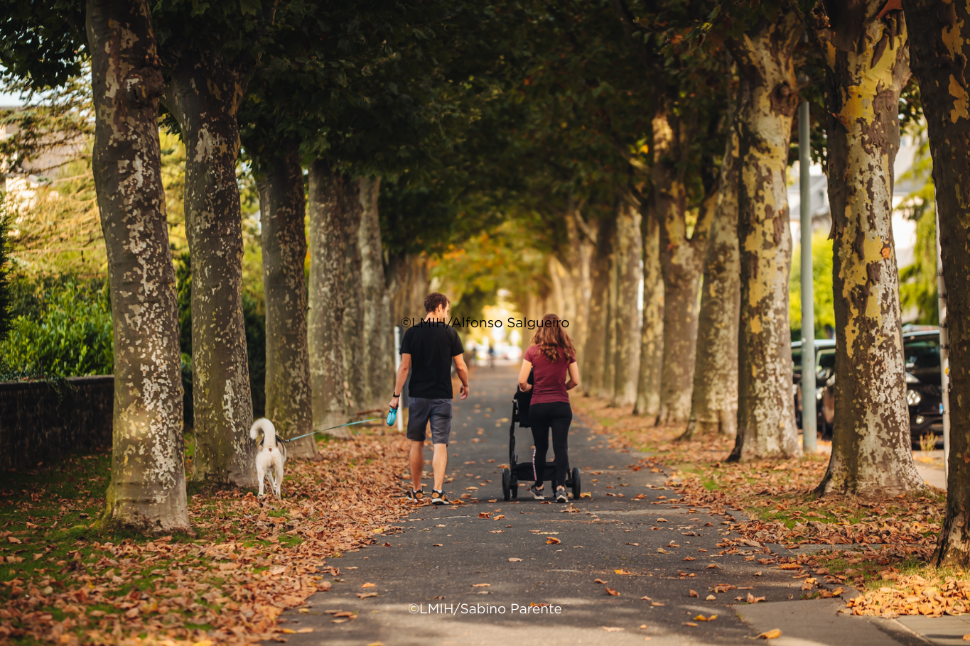Family walking in the forest with a dog