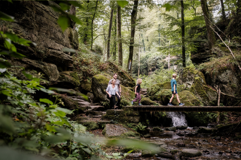 Family of four walking in a forest over a picturesque creek.