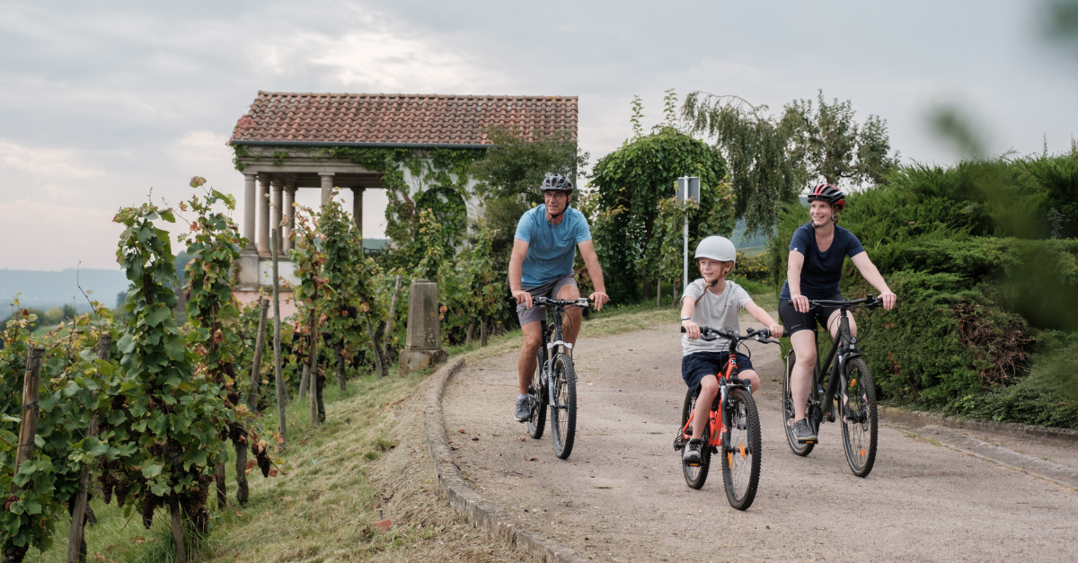 A mum, dad and son riding bikes on a path through lush green vineyards