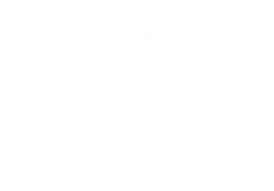 European flag